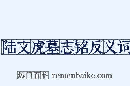 陆文虎墓志铭反义词是什么意思的图片